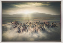Chevaux sauvages