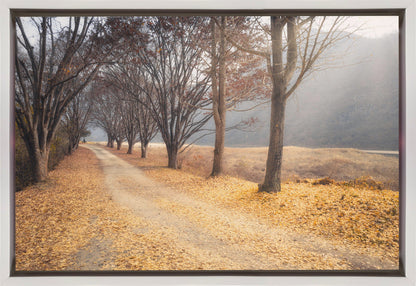 Décoration murale Au milieu de l'automne