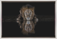 Décoration murale Un lion dans la nuit