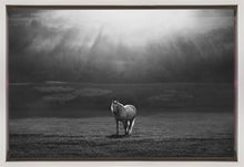 Art mural aspect matinal. Chevaux