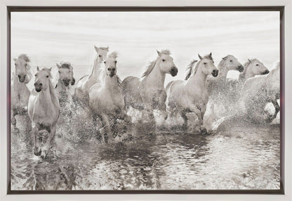 Décoration murale Illusion de puissance (13 chevaux seulement)