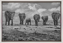 Décoration murale Grande Famille. Éléphants