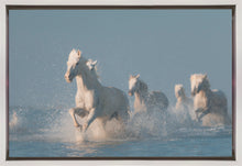 Art mural Anges de Camargue. Cheval