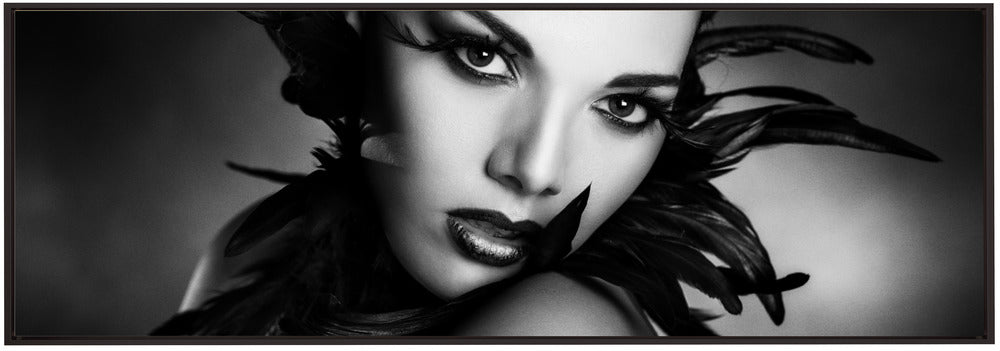 Art mural Les plumes noires