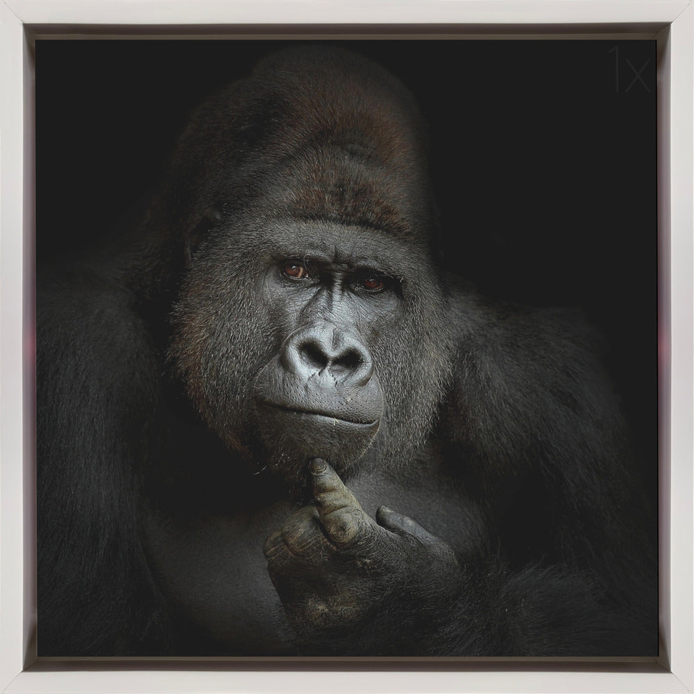 Art mural ego cogito, ergo sum