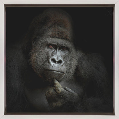 Art mural ego cogito, ergo sum