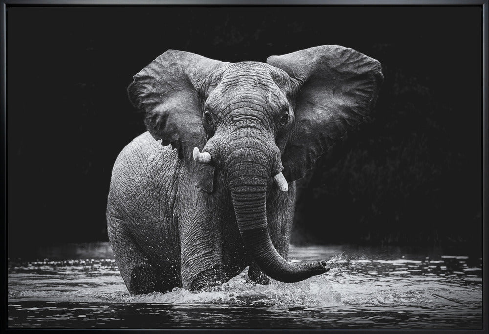 Art mural Power 1. Éléphant