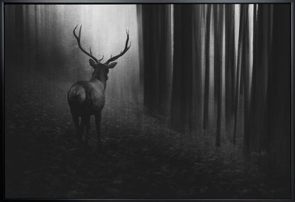 Art mural Cerf.