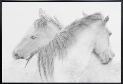 Chevaux