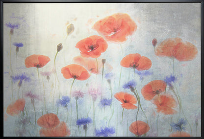 Décoration murale Coquelicot
