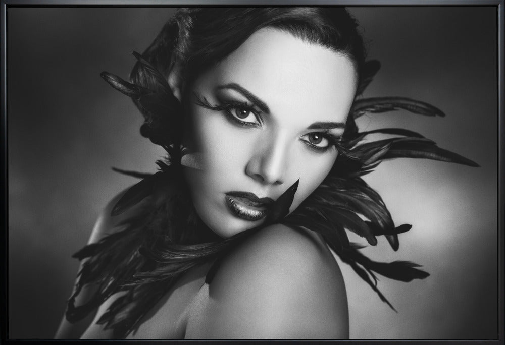 Art mural Les plumes noires