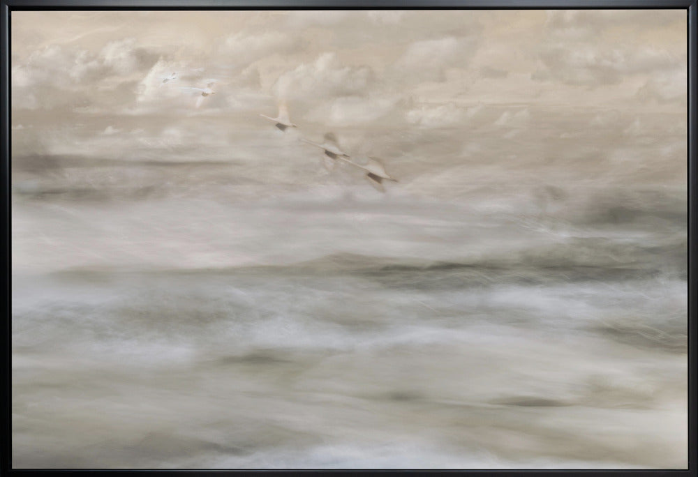 Art mural Cygnes sur la mer