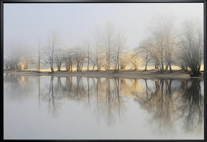 Art mural : Matin de janvier