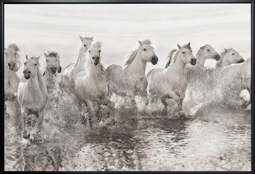 Décoration murale Illusion de puissance (13 chevaux seulement)