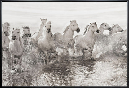 Décoration murale Illusion de puissance (13 chevaux seulement)