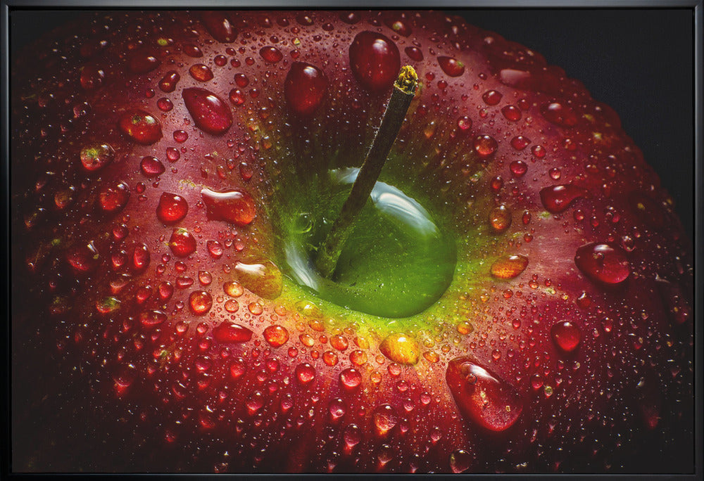 Décoration murale Pomme Rouge. Alimentaire