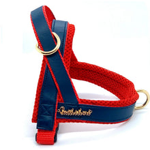 Harnais pour chien Cardinal One-Click