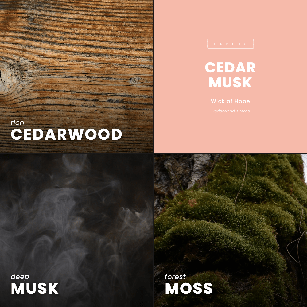 Cedar Musk Candle | Cedarwood + Moss