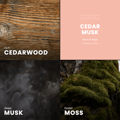 Cedar Musk Candle | Cedarwood + Moss
