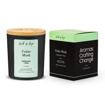 Cedar Musk Candle | Cedarwood + Moss