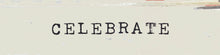 Timber Bit - Medium - Celebrate