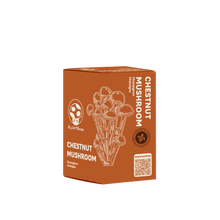 Chestnut Mushroom Kit