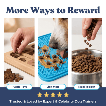 Chicken Mini Training Treats