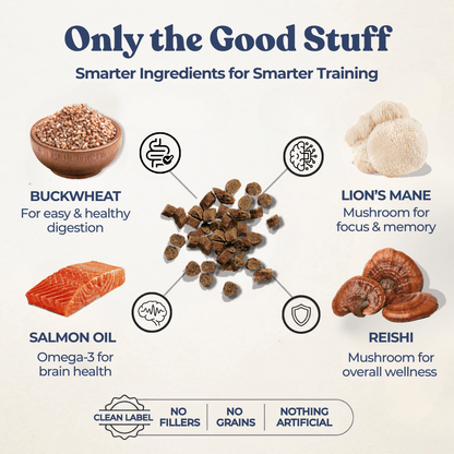 Chicken Mini Training Treats