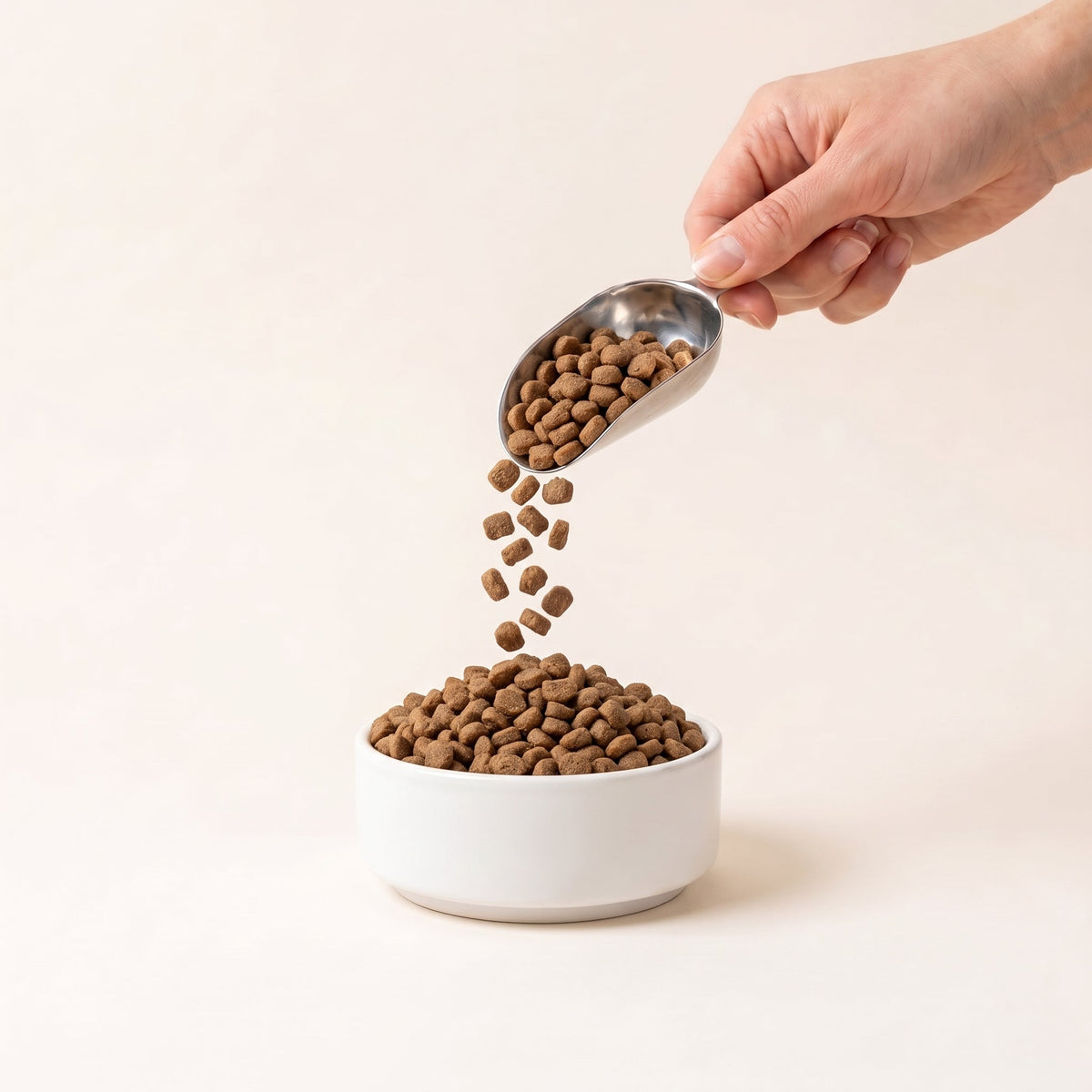 Super Premium Grain Free Cat Food