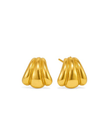 Puces d'oreilles côtières