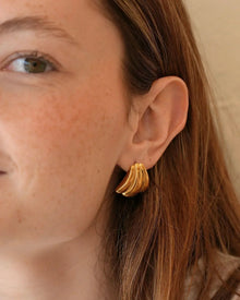 Puces d'oreilles côtières