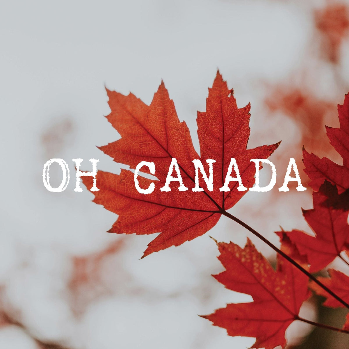 Coasters or Magnets - Canada Maple Leaf