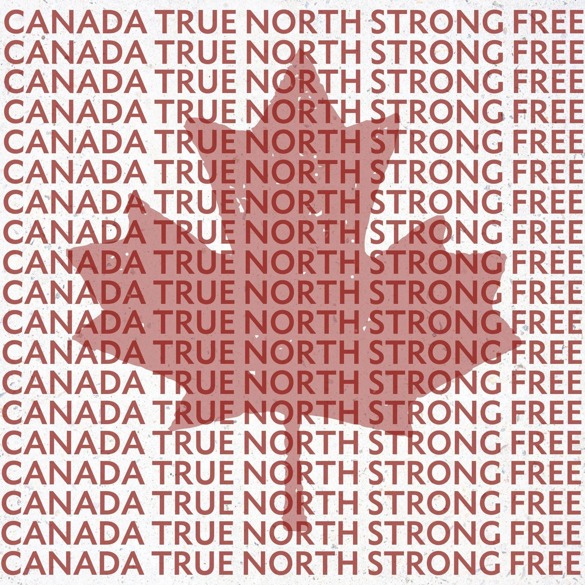 Coasters or Magnets - Strong & Free