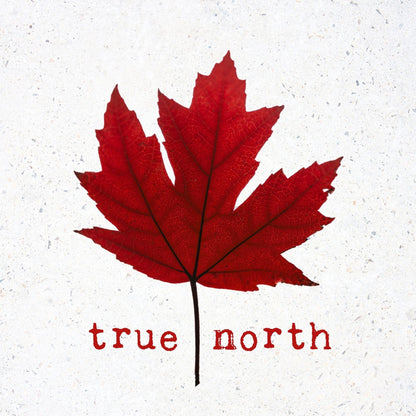 Coasters or Magnets - True North