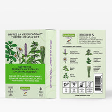 Flower and Medicinal Plant Seed Set | For herbal teas and more
