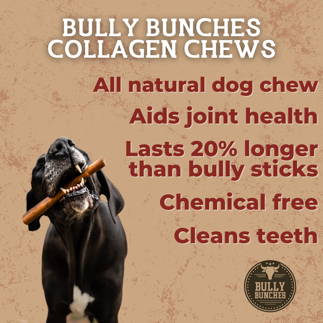 Bâton de collagène de 13-15 cm