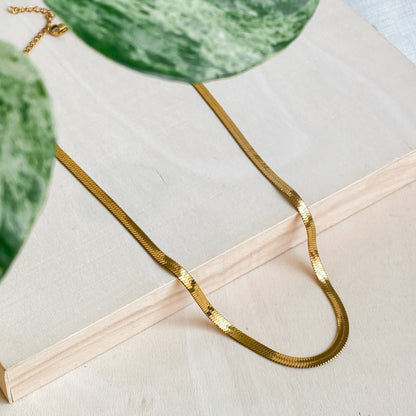 18K Gold Plated Stainless Steel Choker Necklace | CLEOPATRA