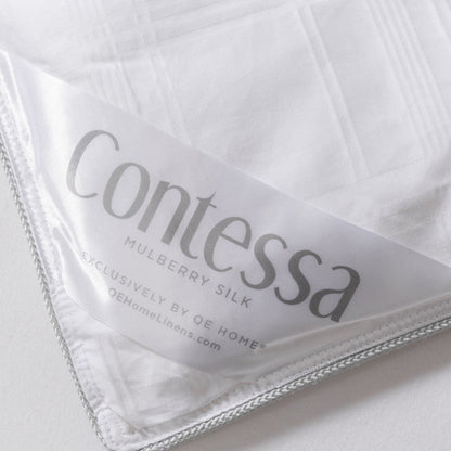 QEHOME Contessa Mulberry Silk Duvet Queen