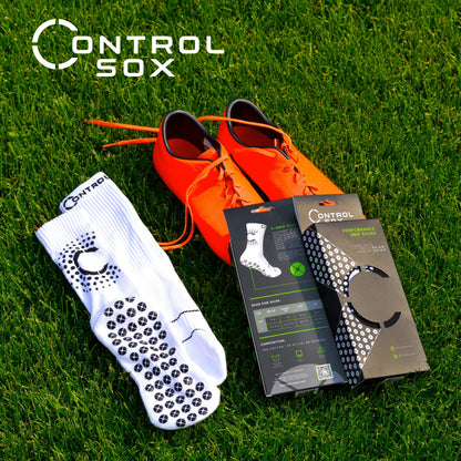 Contrôle Sox 2.0