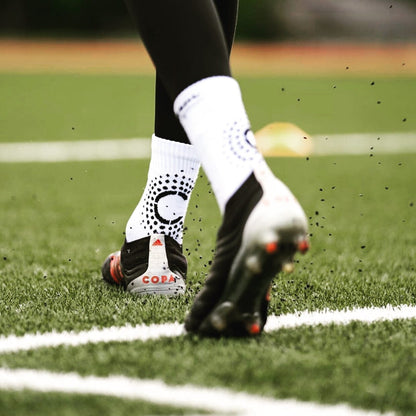 Contrôle Sox 2.0