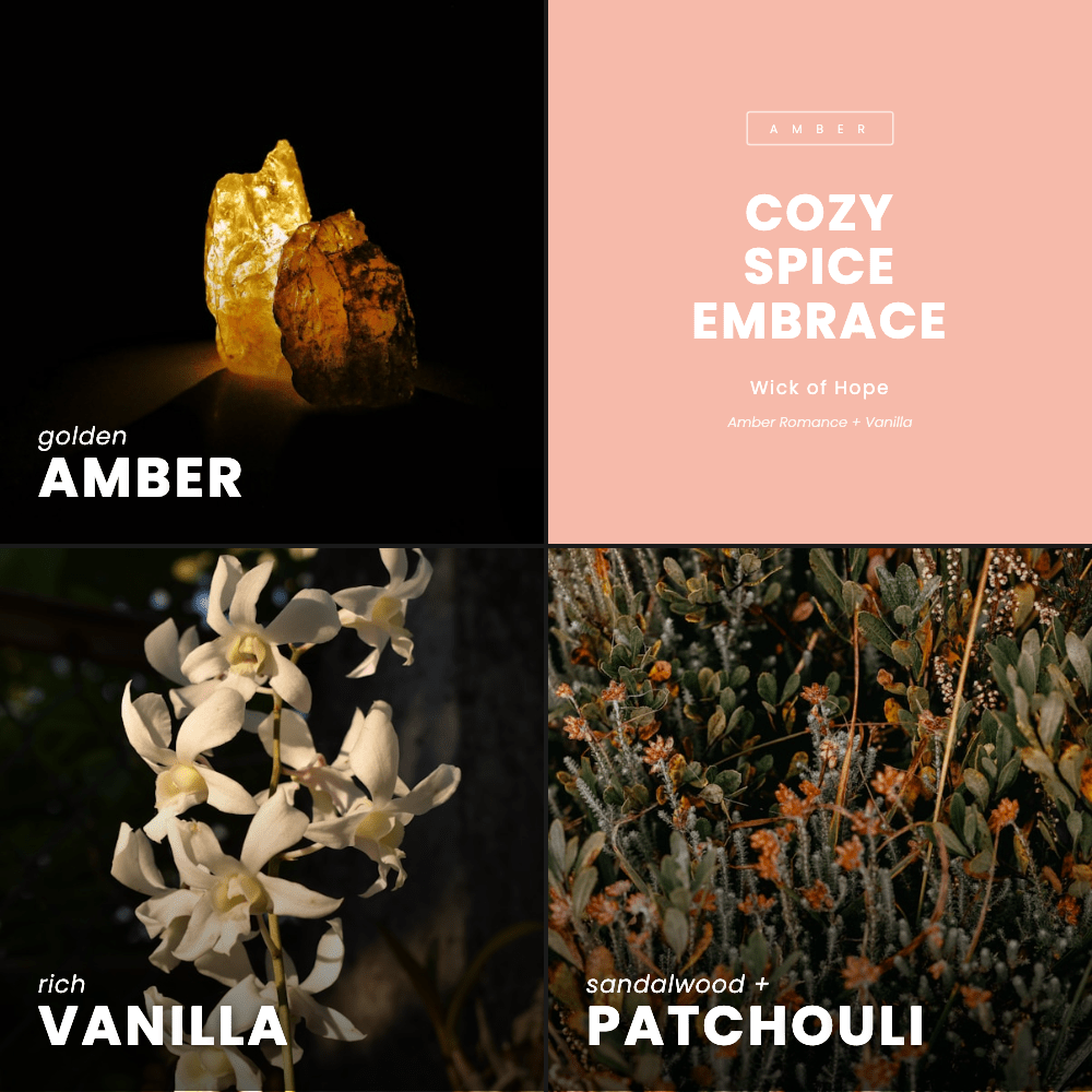 Cozy Spice Embrace Candle | Amber Romance + Vanilla
