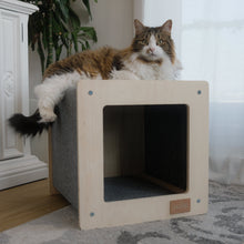 The Urban Hut Pet House