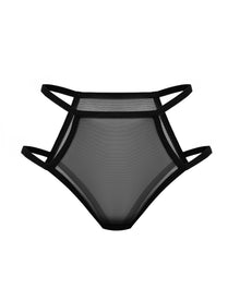 Sheer Mesh Briefs, Teja