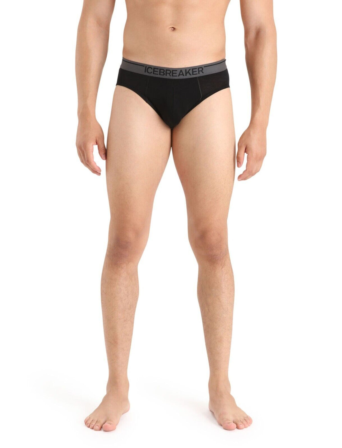 Icebreaker Merino Men's Anatomica Briefs Size Small