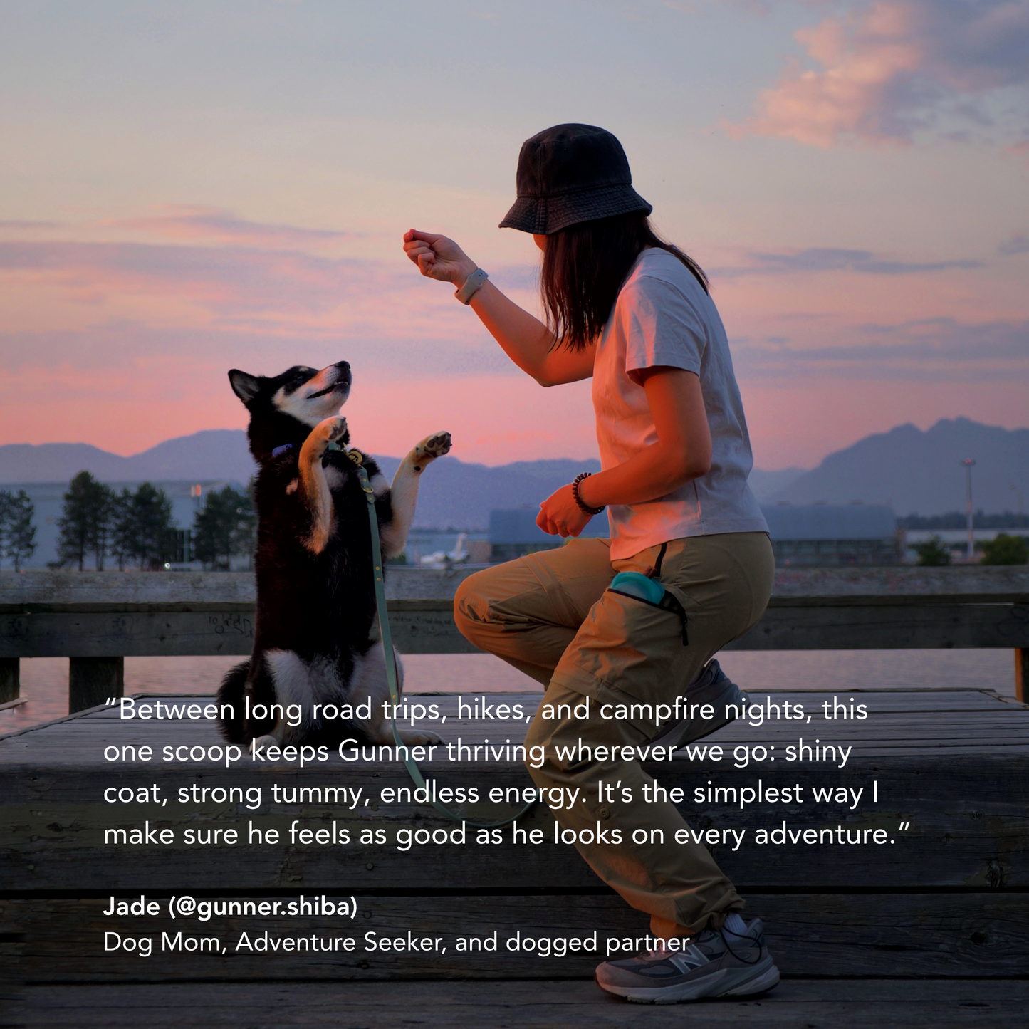 SCD : symbiotique canin quotidien