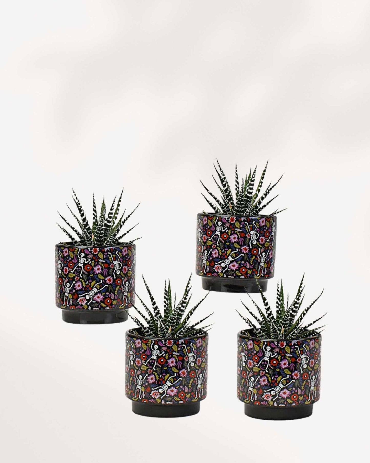 Pot du Jour des Morts