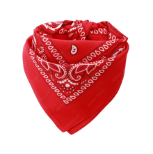 Lot de 5 bandanas Europe Bound