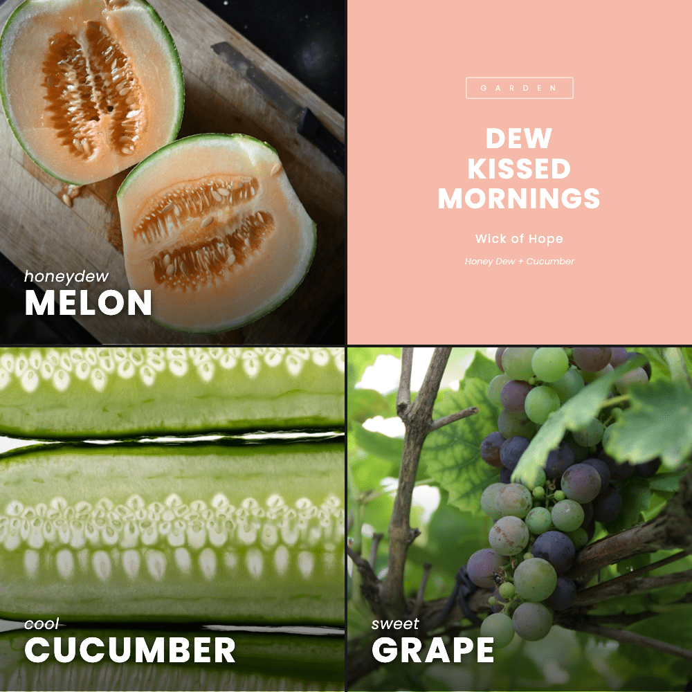 Dew Kissed Mornings | Honey Dew + Cucumber