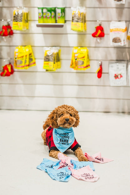 Dexypaws - Birthday Bandana "It'S My Birthday I'Ll Bark If I Want To"