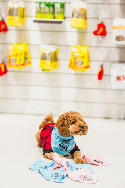 Dexypaws - Birthday Bandana "It'S My Birthday I'Ll Bark If I Want To"
